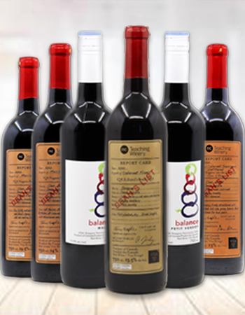 Bold Bordeaux - 6 Pack