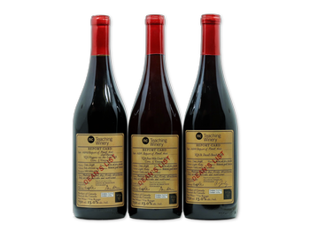 Pinot Noir Explorers Pack