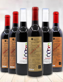 Bold Bordeaux - 6 Pack